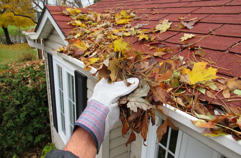 Cleaning Residential Gutters