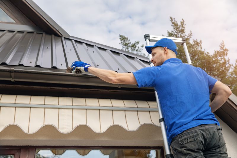 Handyman Services for Gutters